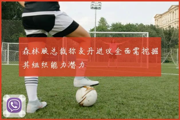 森林狼总裁称麦丹进攻全面需挖掘其组织能力潜力