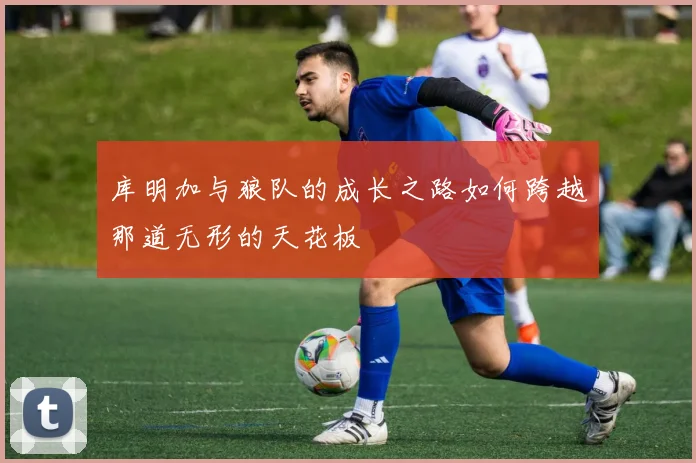 库明加与狼队的成长之路如何跨越那道无形的天花板