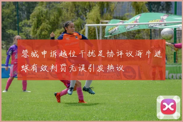 蓉城申诉越位干扰足协评议海牛进球有效判罚无误引发热议